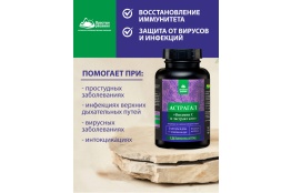 АСТРАГАЛ и сок АЛОЭ 60 капсул по 500 мг